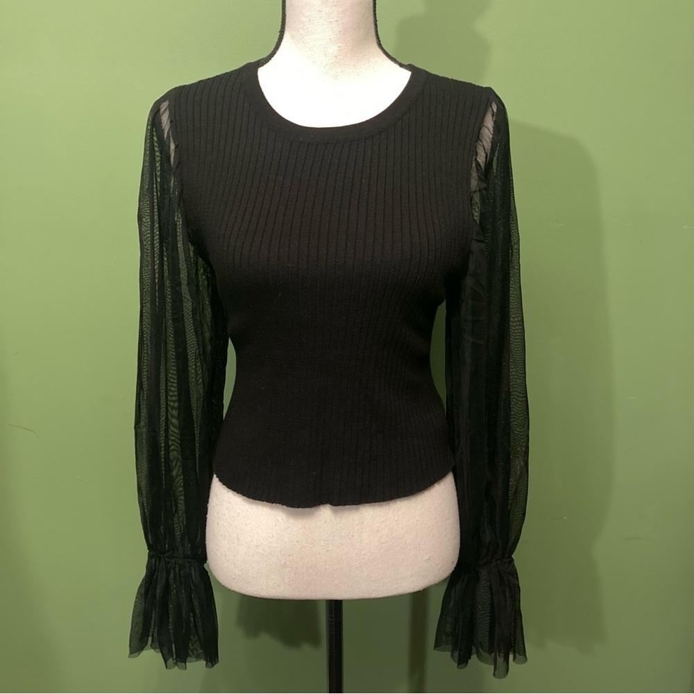 Forever 21 Black Ribbed Top with Sheer balloon Sleeves